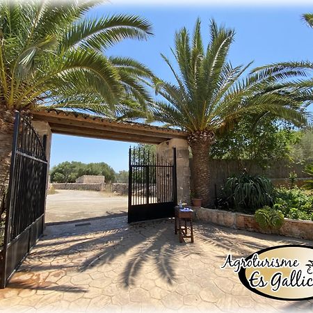 Agroturismo Es Gallicant Campos  Luaran gambar