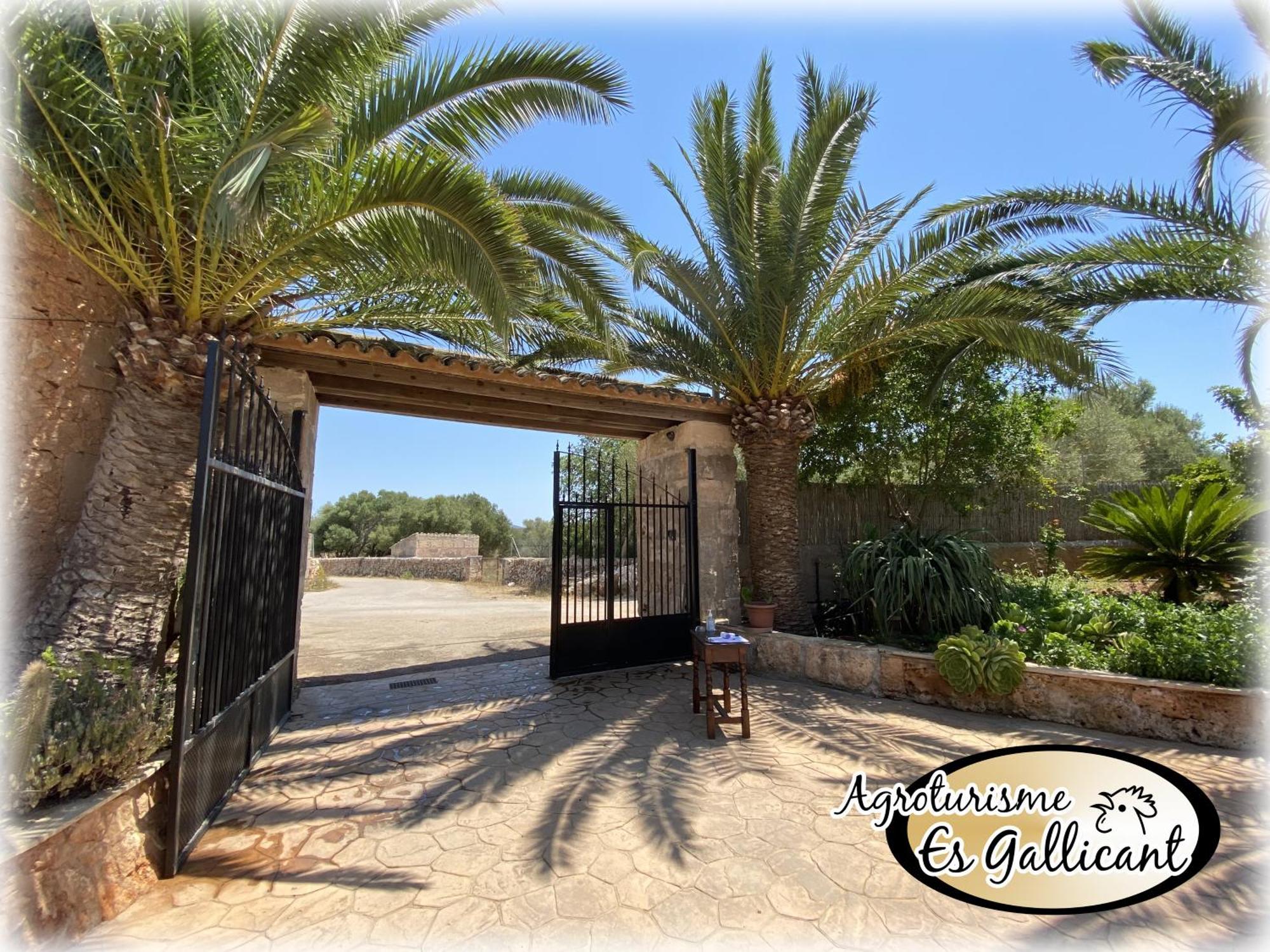 Agroturismo Es Gallicant Campos  Luaran gambar