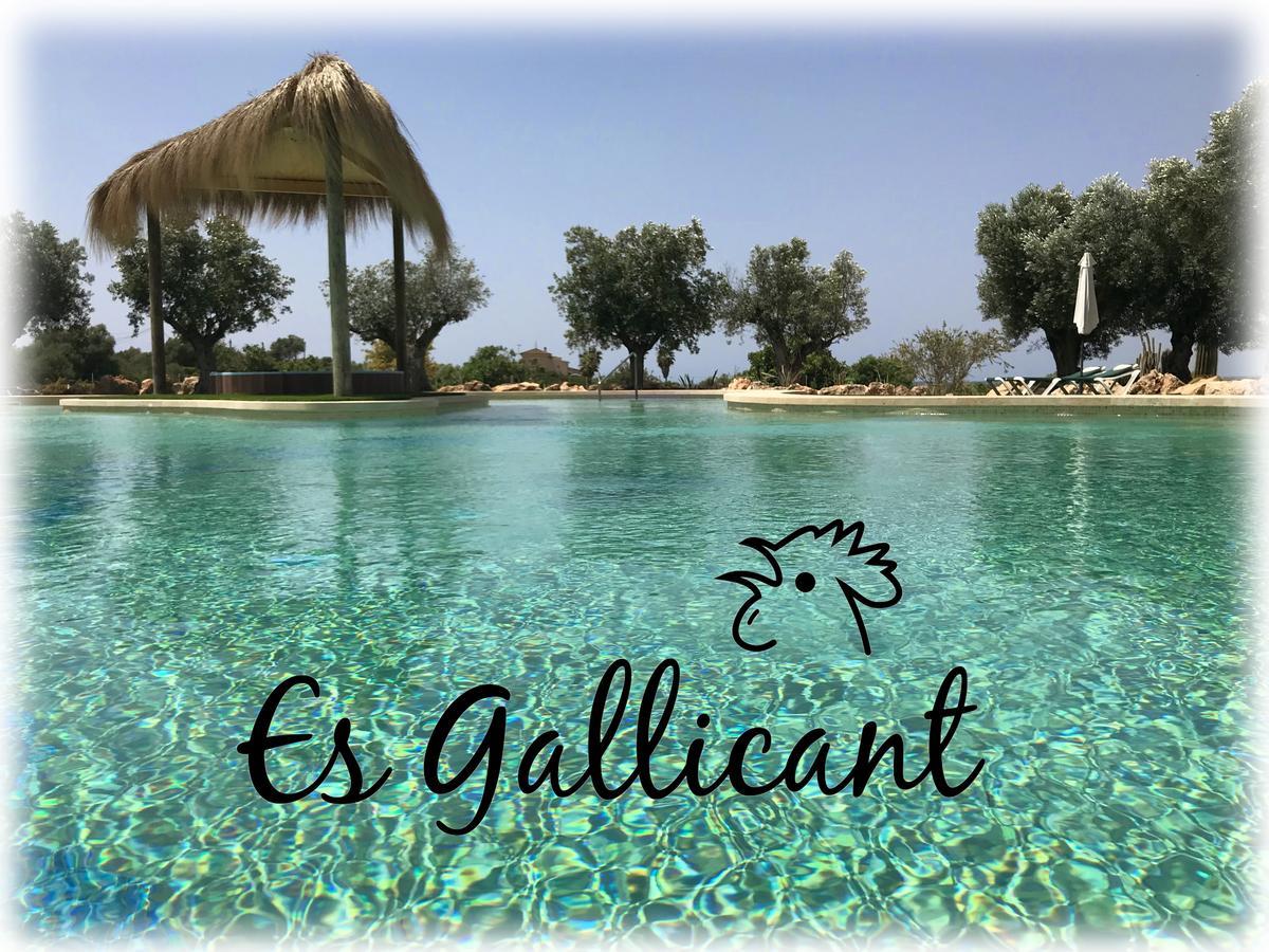 Agroturismo Es Gallicant Campos  Luaran gambar